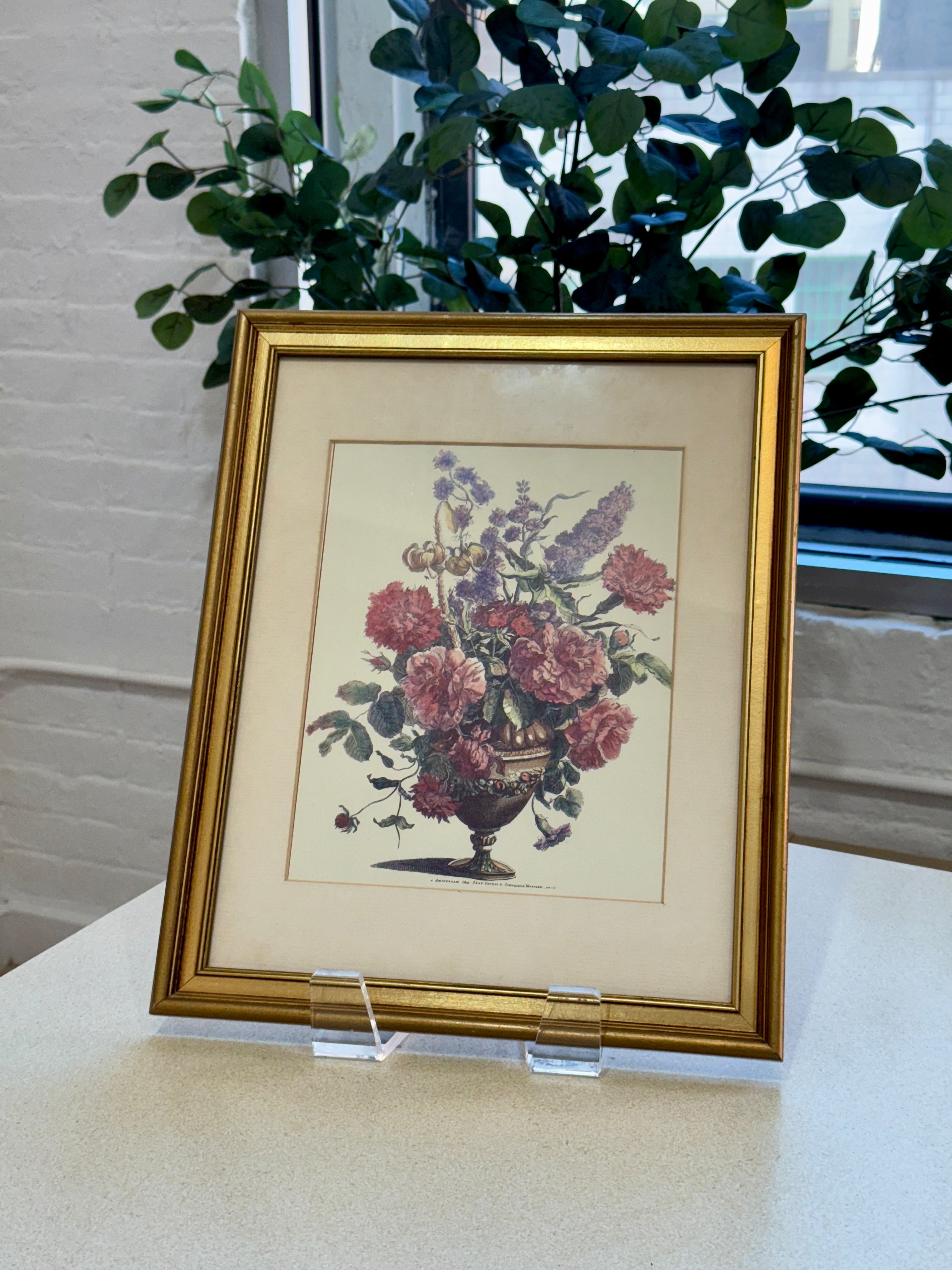 Framed Vintage Botanical Print