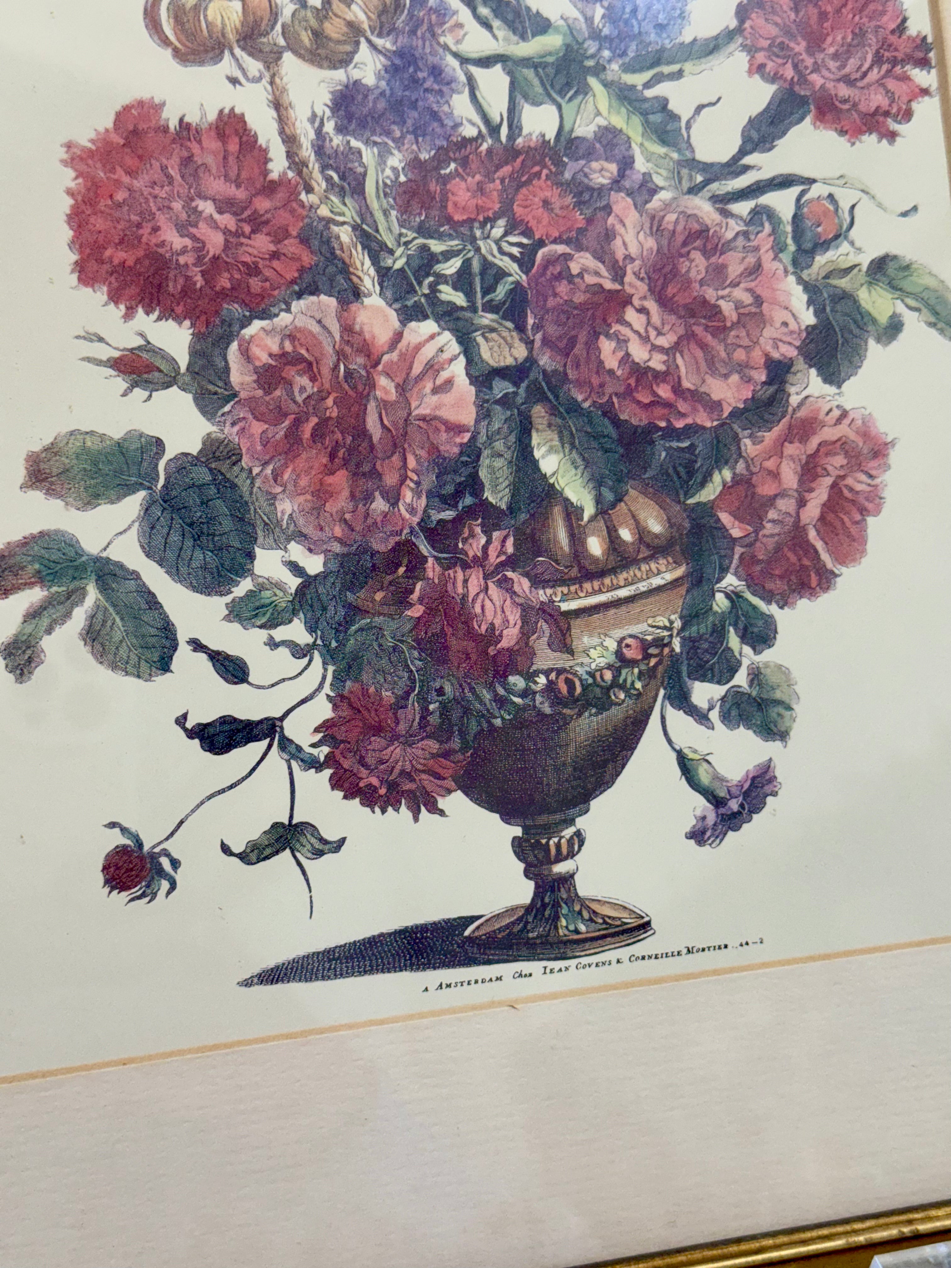 Framed Vintage Botanical Print