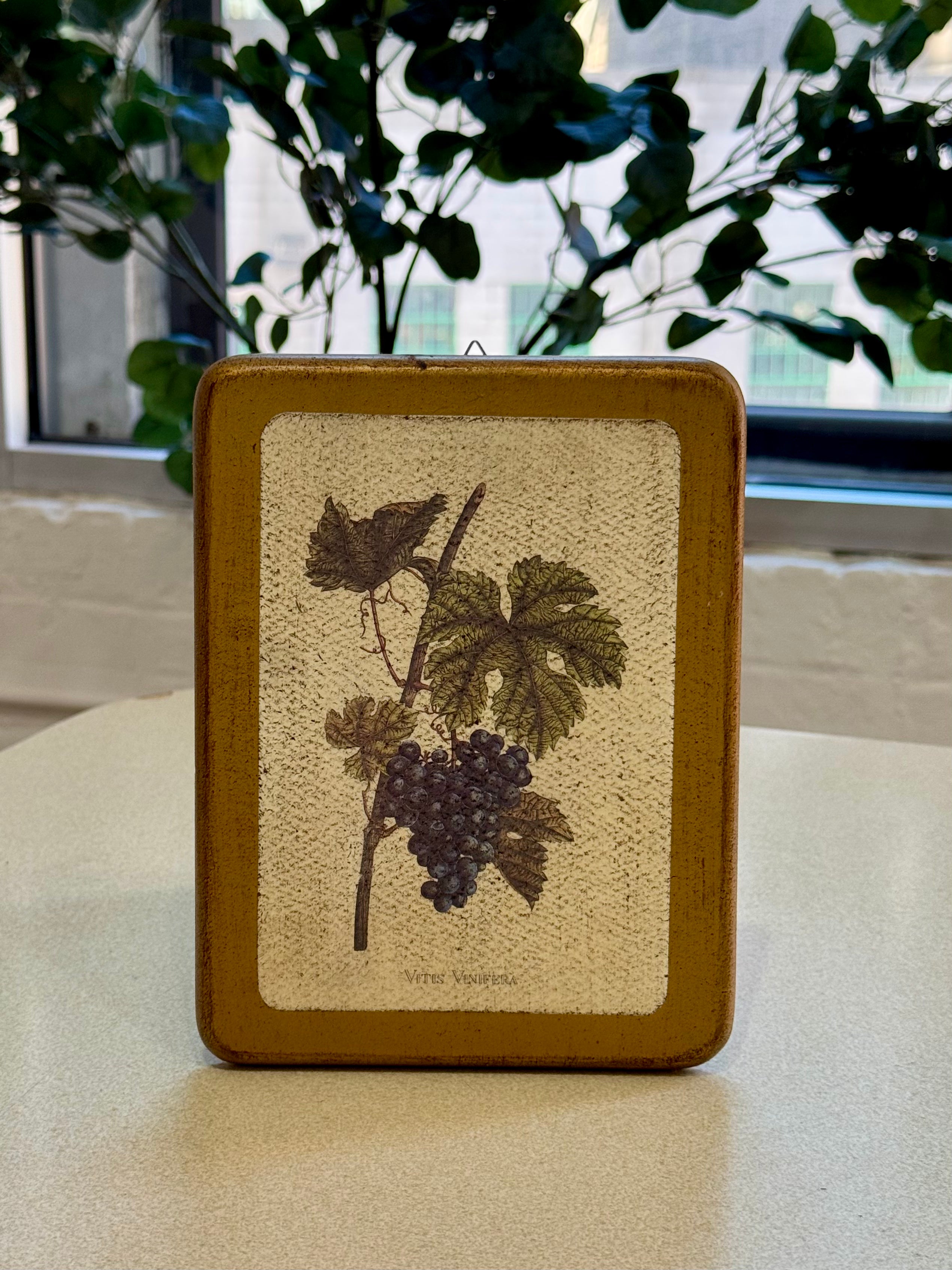 Vintage Grape Painting on Wood