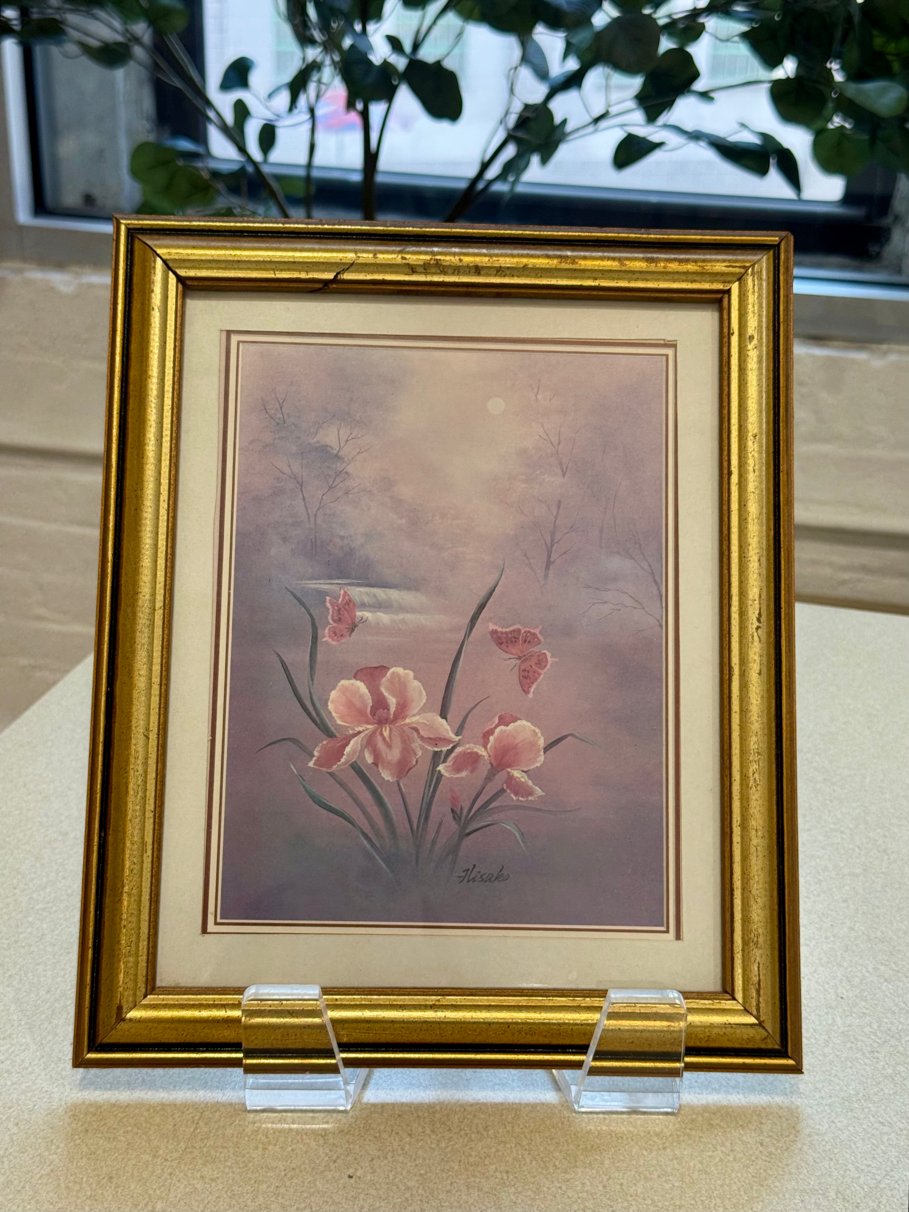 Framed Botanical Print