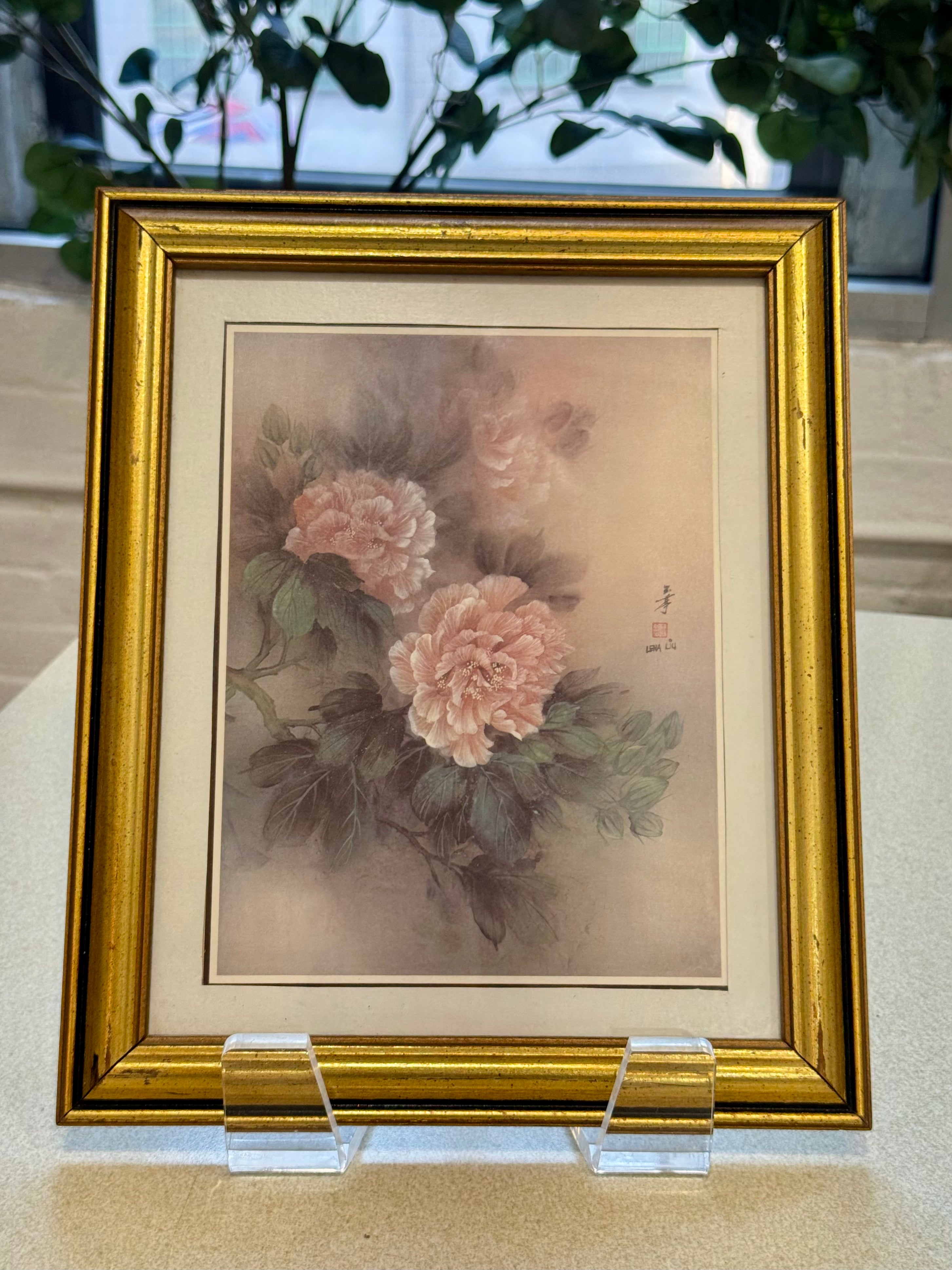 Framed Botanical Print