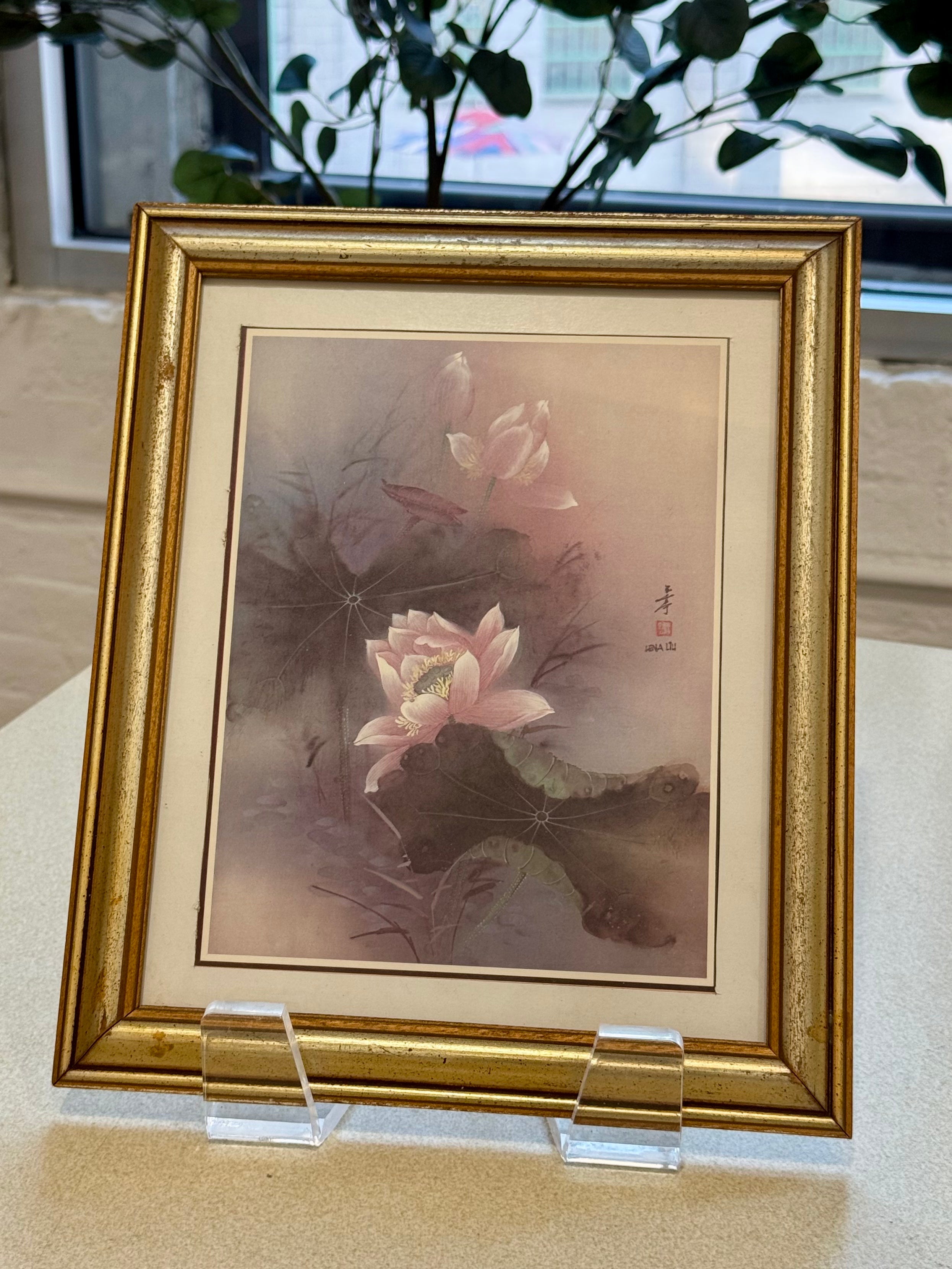 Framed Botanical Print