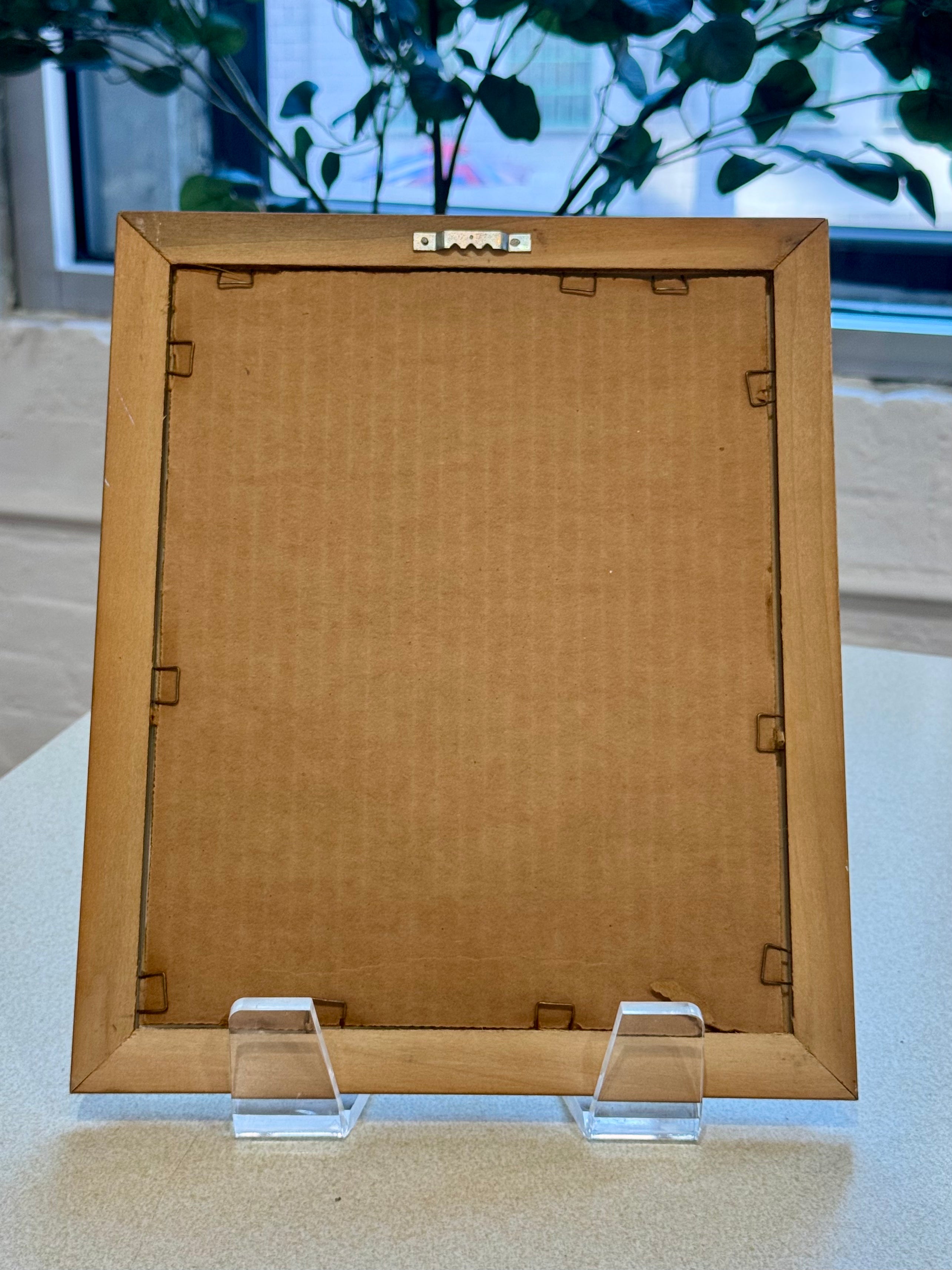 Framed Botanical Print