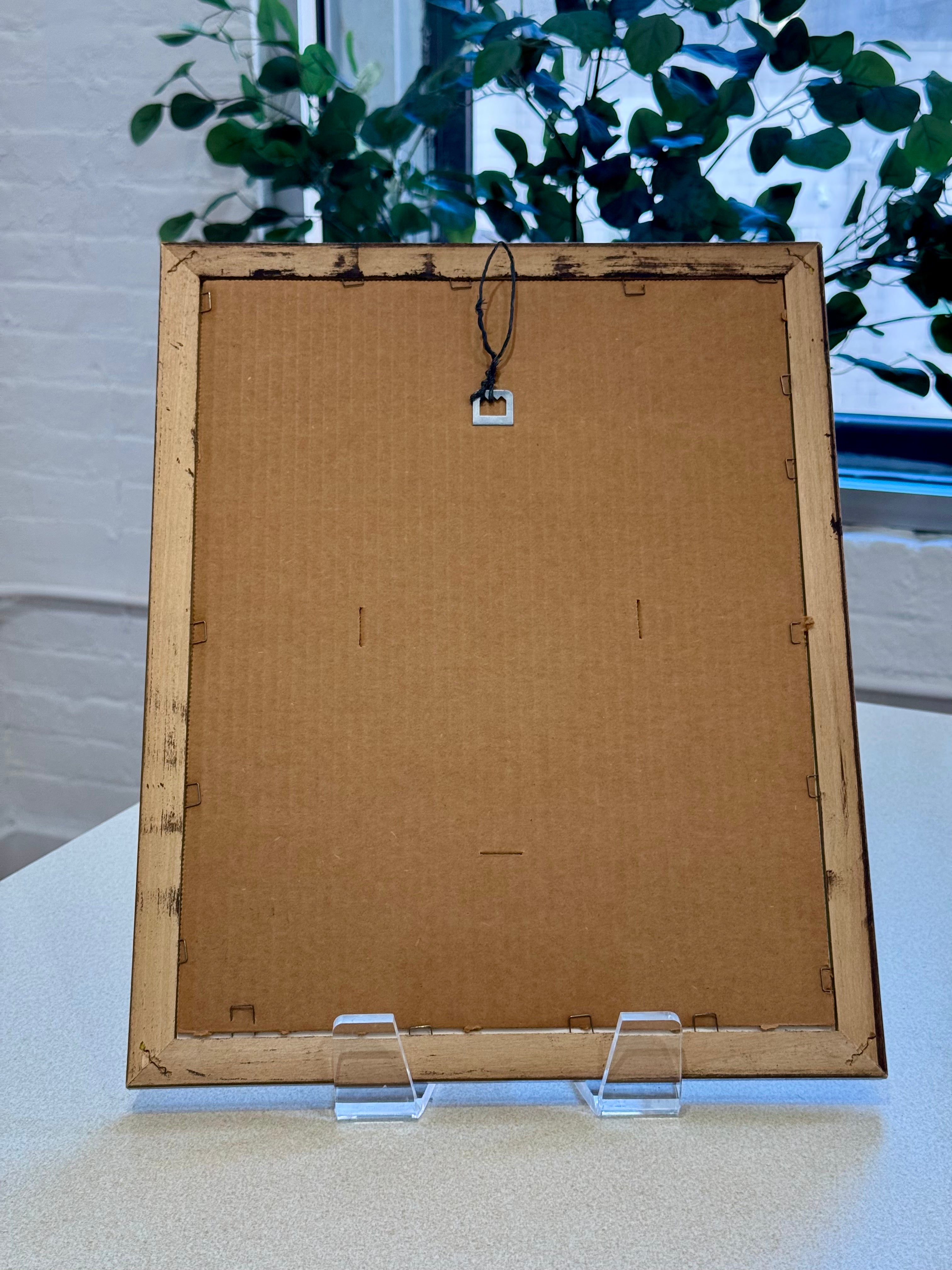 Framed Vintage Botanical Print