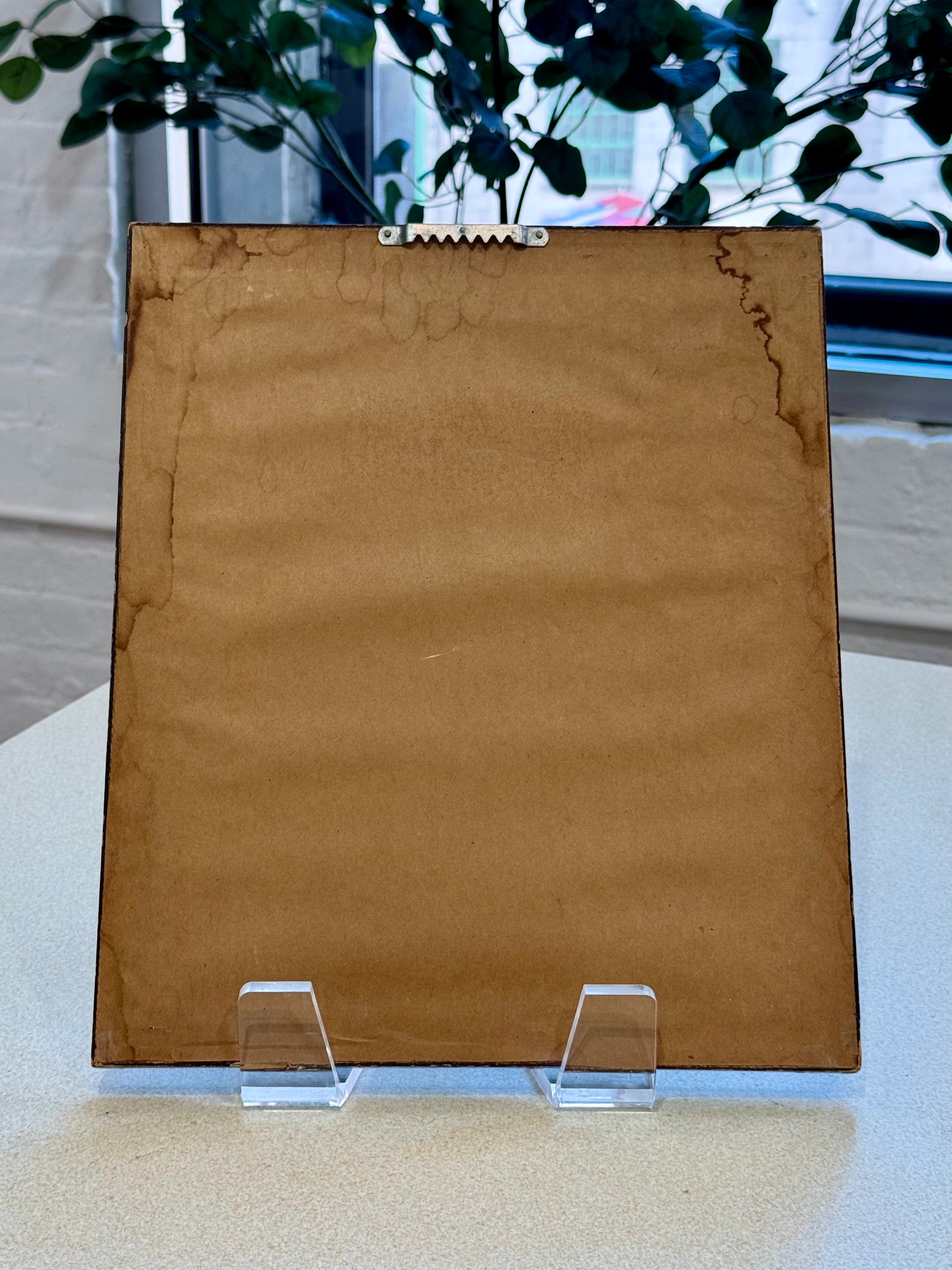 Framed Botanical Print