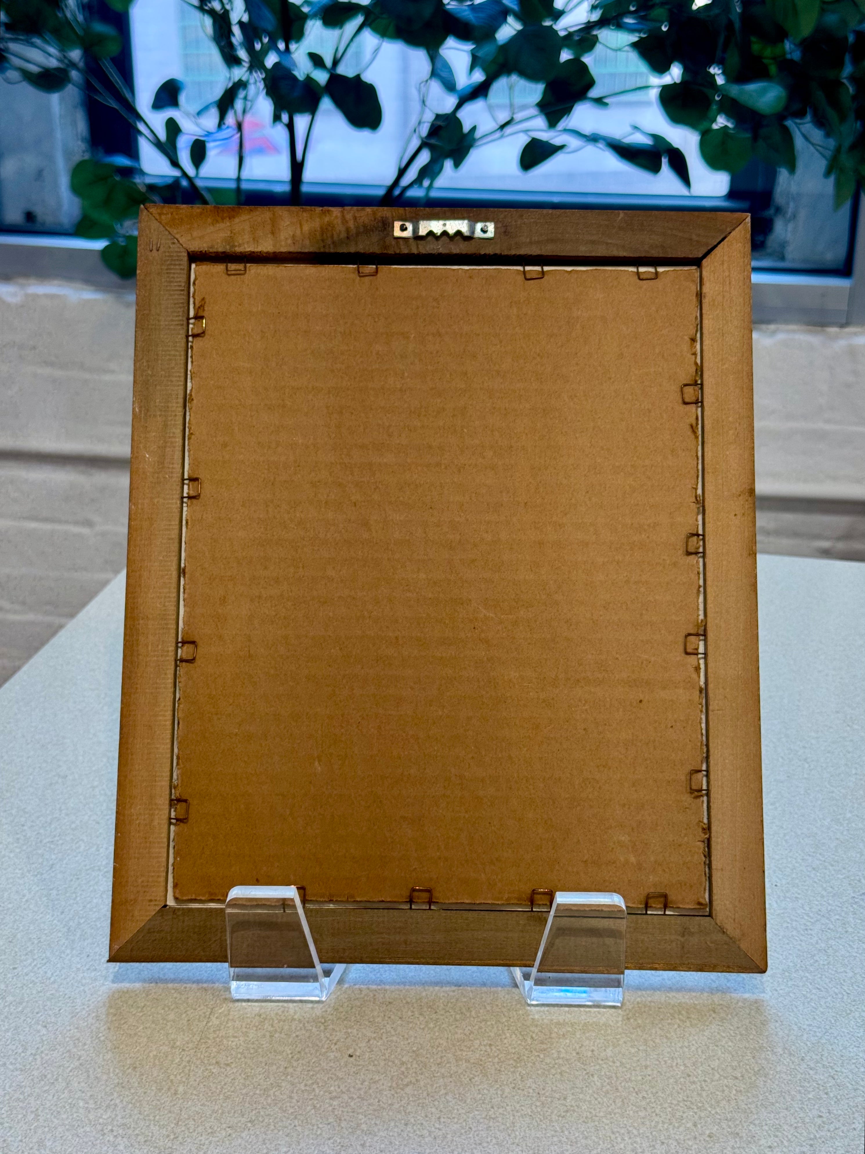 Framed Botanical Print