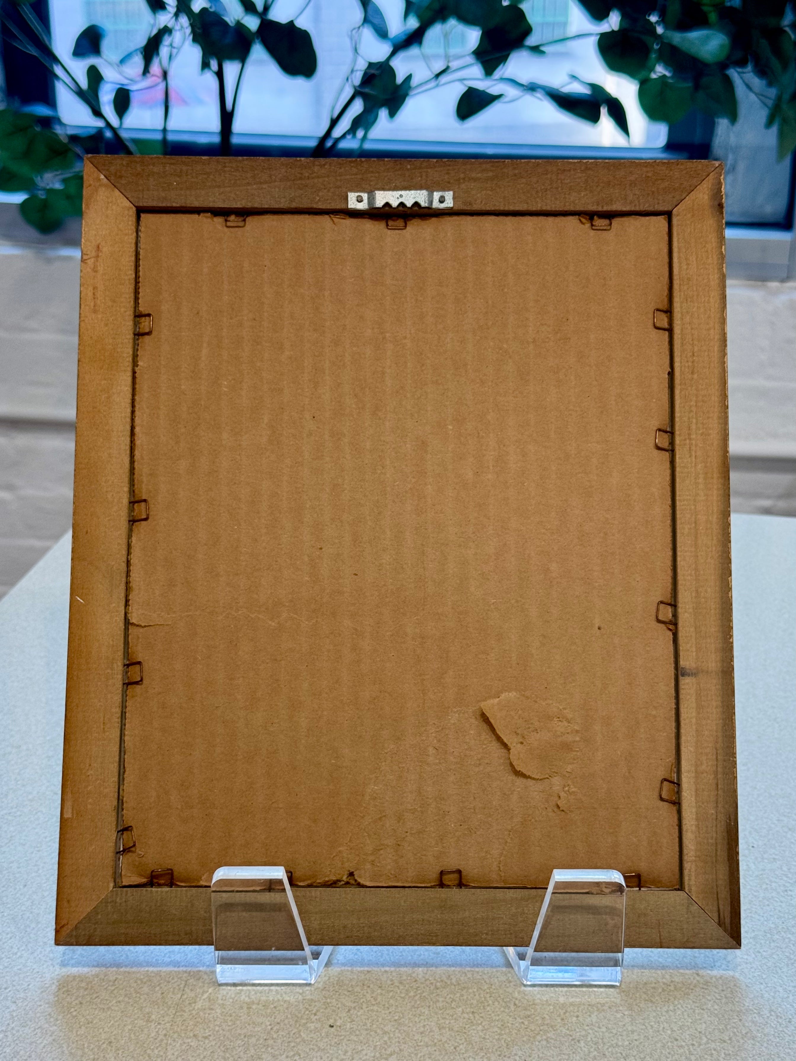 Framed Botanical Print