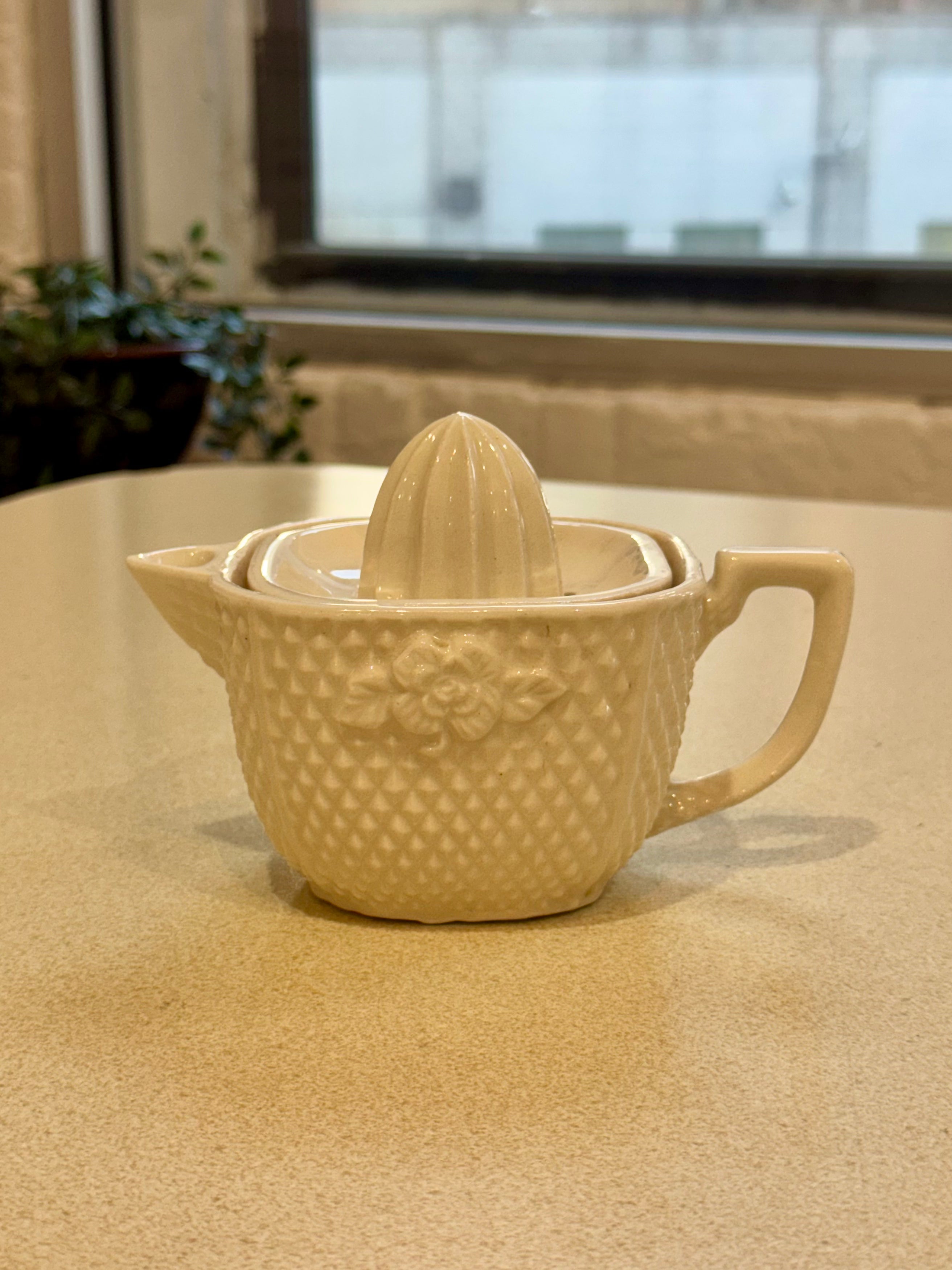 Ceramic Citrus Juicer