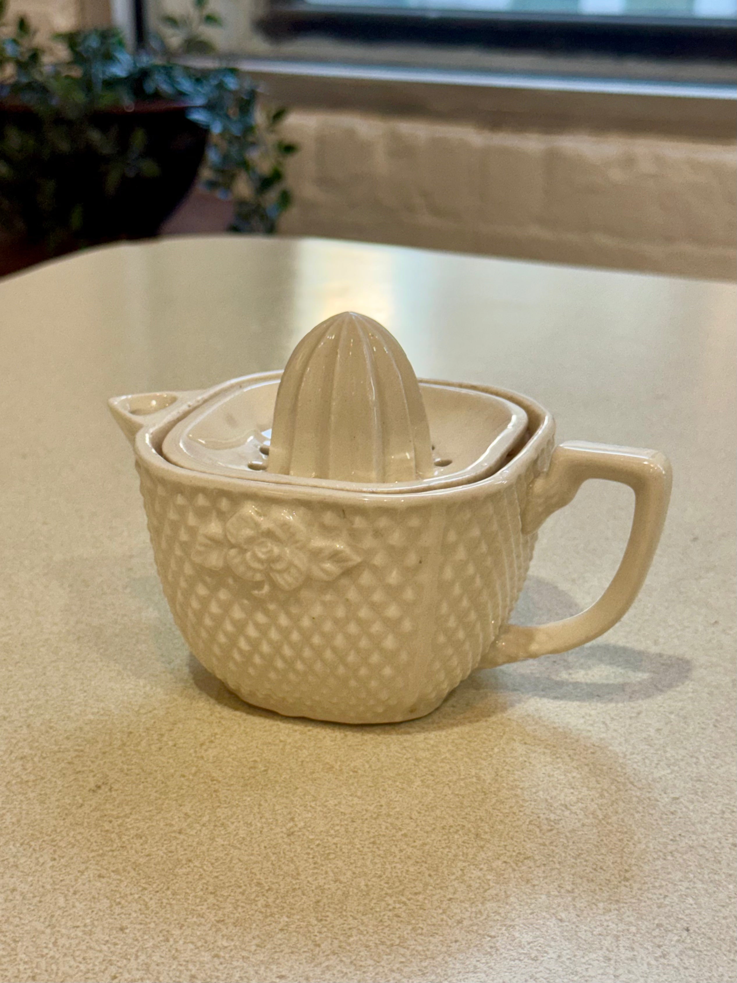 Ceramic Citrus Juicer