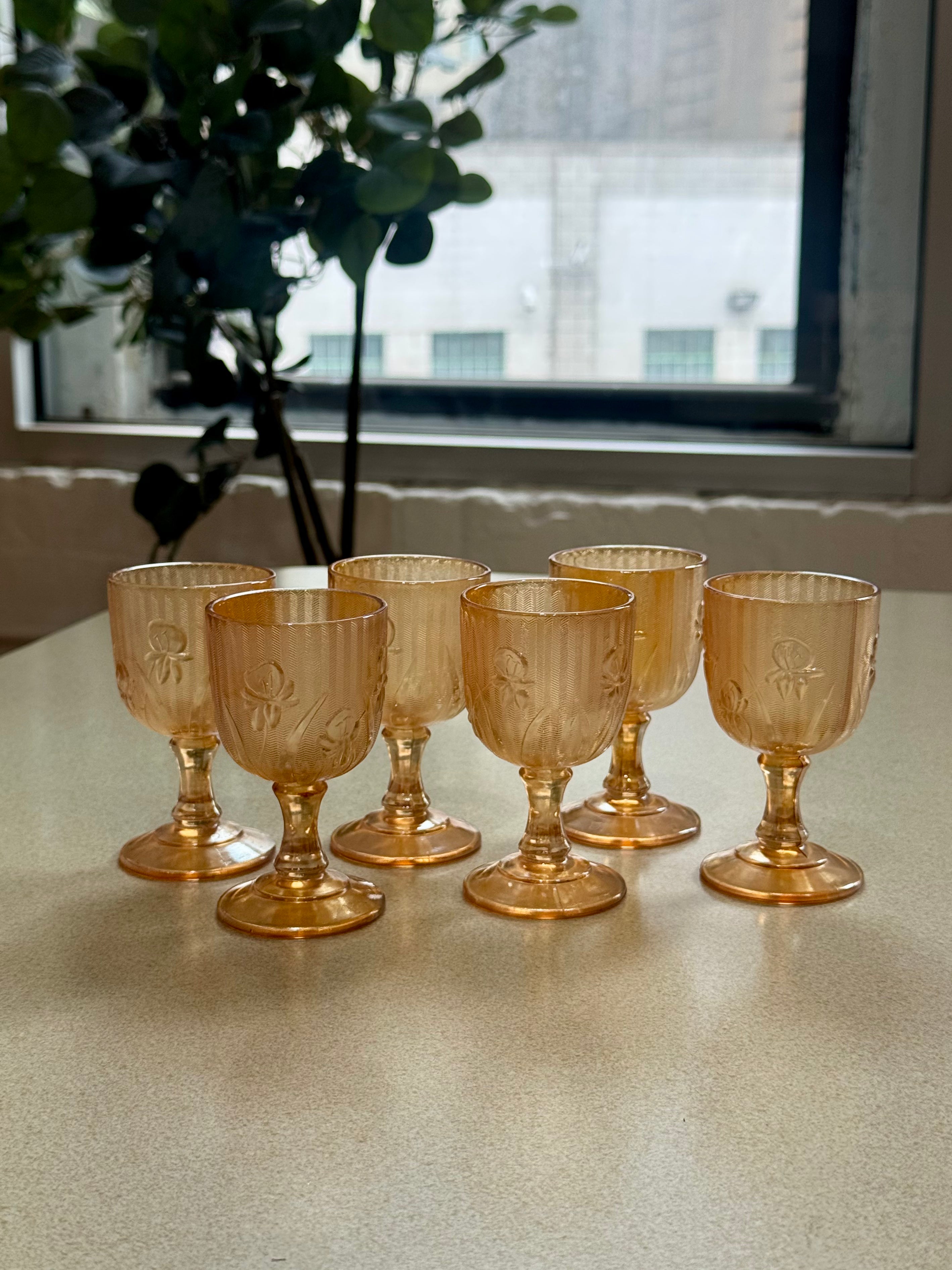 Vintage Jeanette Iris and Herringbone Cordial Glasses