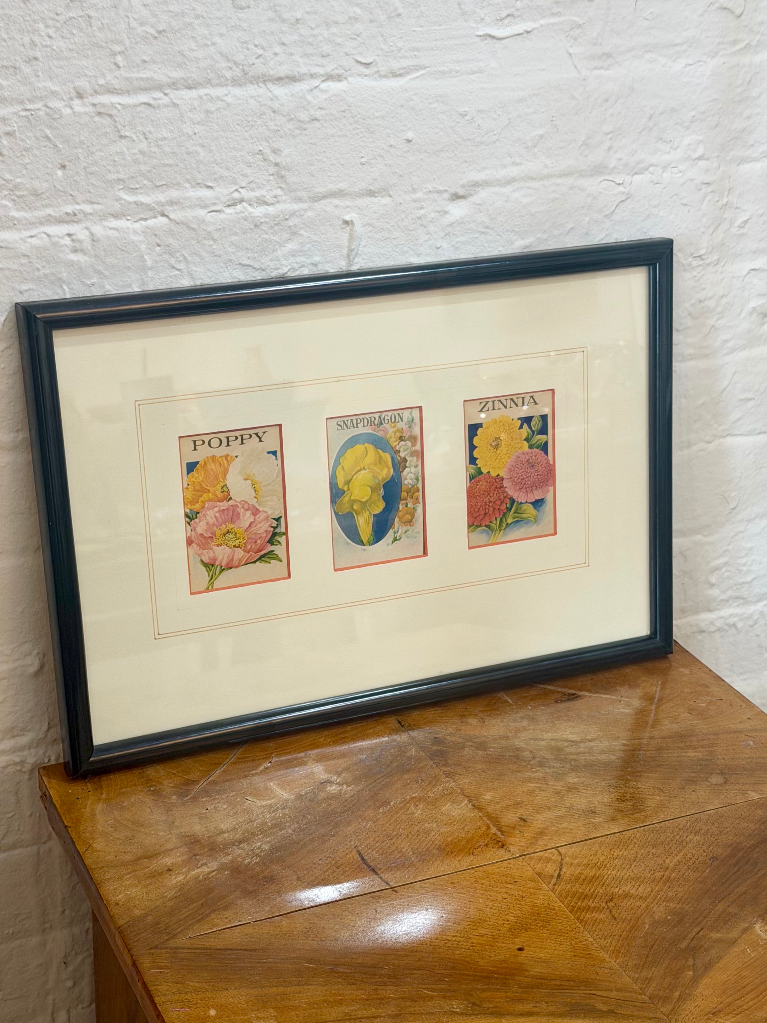 Framed Botanical Trio Print - Poppy, Snapdragon, Zinnia