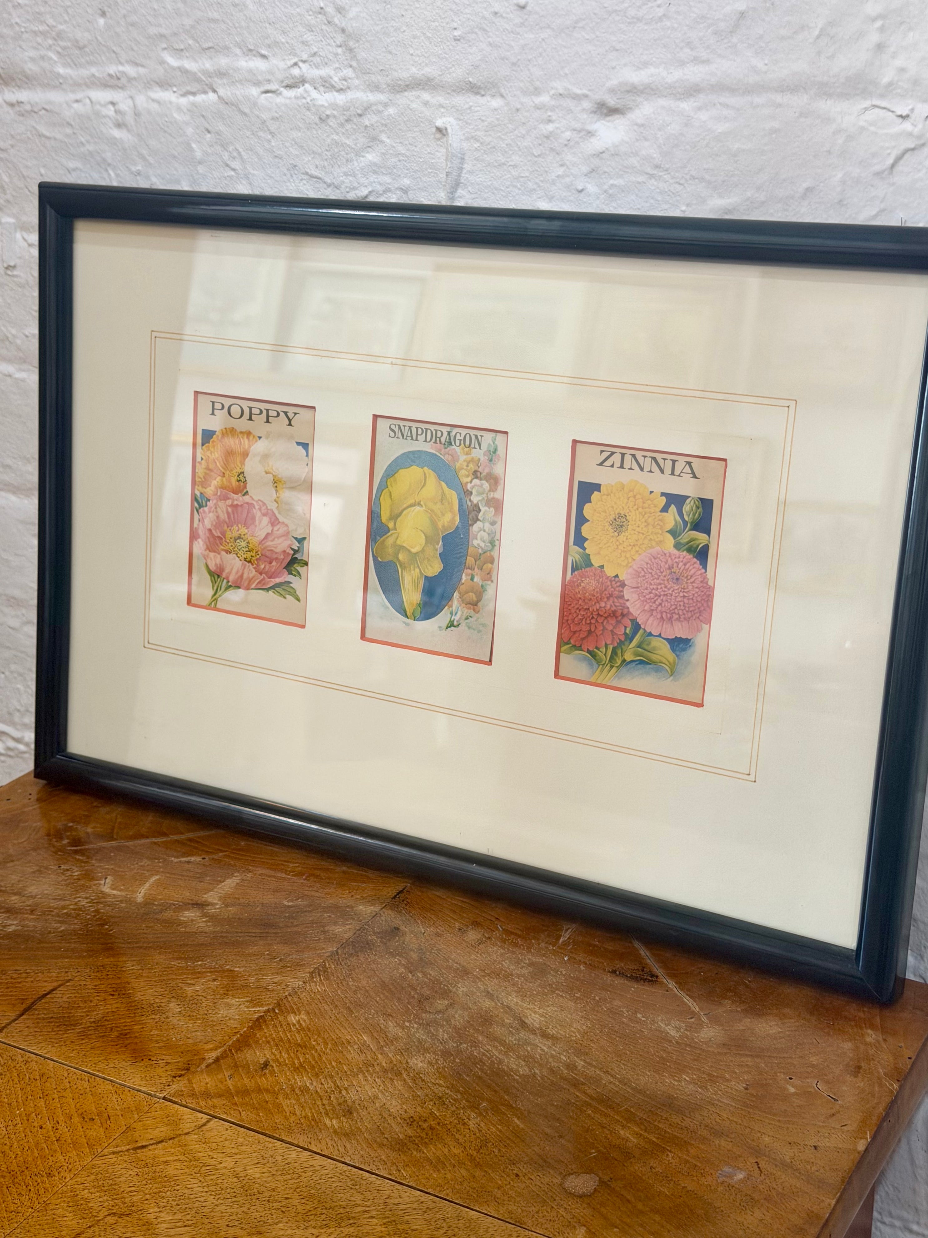 Framed Botanical Trio Print - Poppy, Snapdragon, Zinnia
